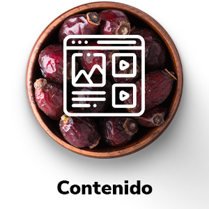 CONTENIDO