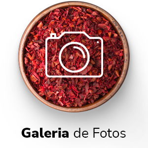 GALERIA DE FOTOS