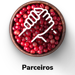 PARCEIROS