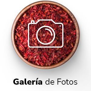 Acesso rápido - Galería de Fotos