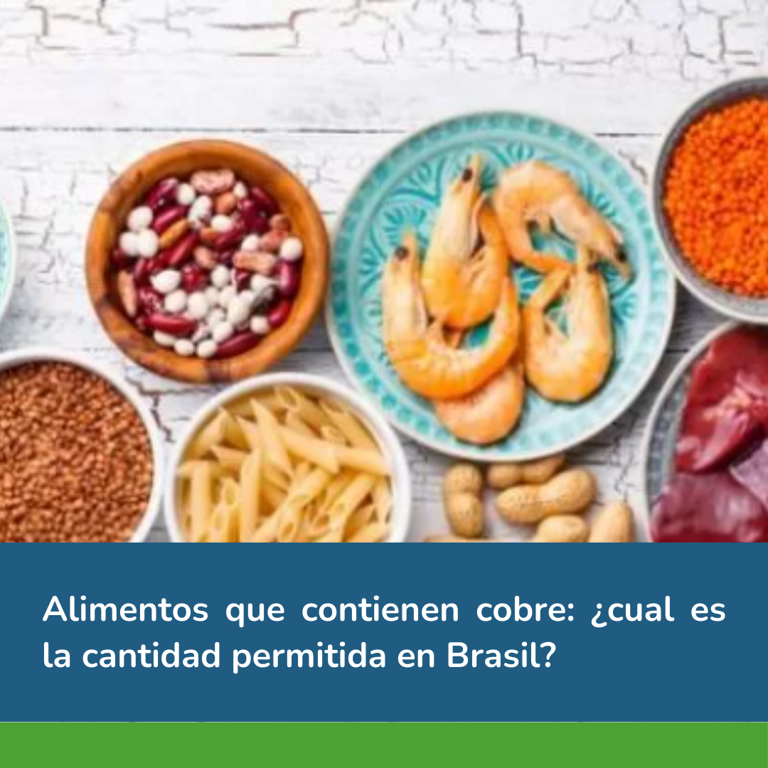 Alimentos que contienen cobre: ¿cual es la cantidad permitida en Brasil?