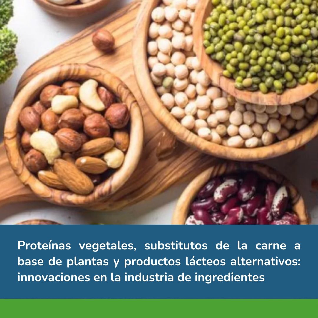 Proteínas vegetales, substitutos de la carne a base de plantas y productos lácteos alternativos