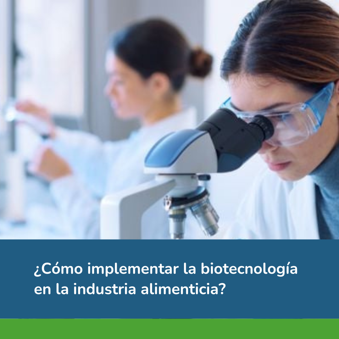 ¿Cómo implementar la biotecnología en la industria alimenticia?