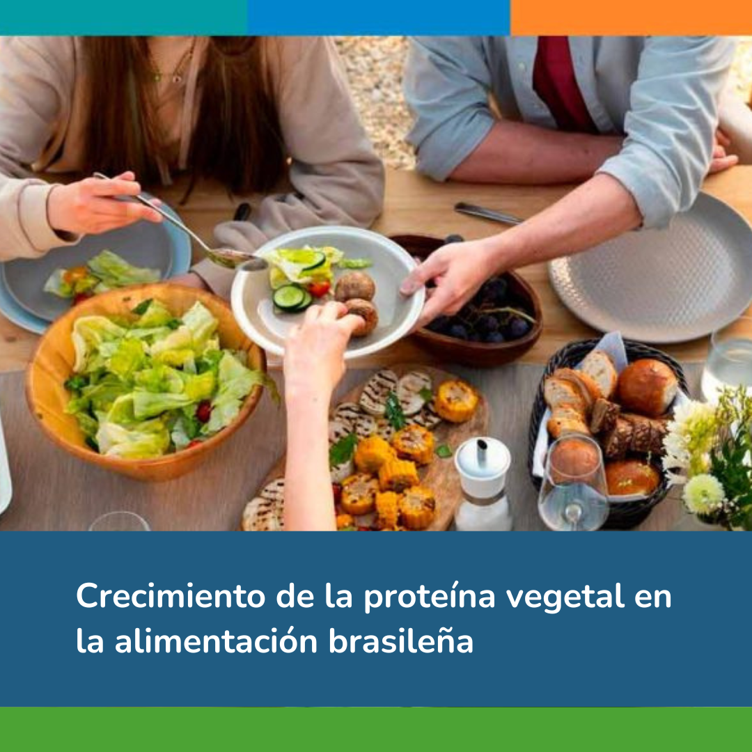 Crecimiento de la proteína vegetal en la alimentación brasileña