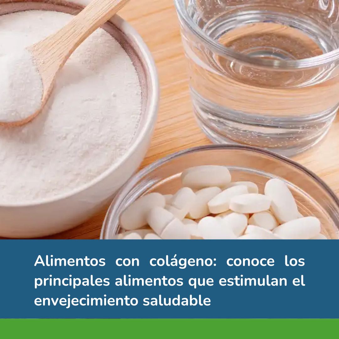 Alimentos con colágeno: conoce los principales alimentos que estimulan el envejecimiento saludable