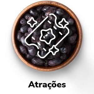 Acesso rápido - Atrações