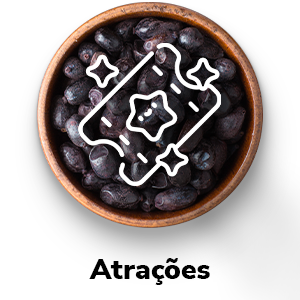 Atrações