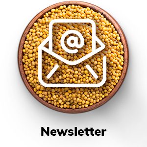 Icone Newsletter