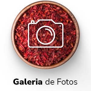Acesso Rápido - GALERIA DE FOTOS